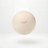 Reform Ball + Pump